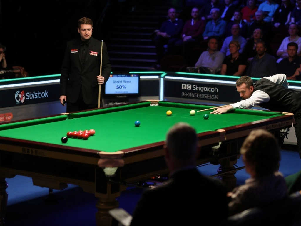 样的重要球 样的重要球