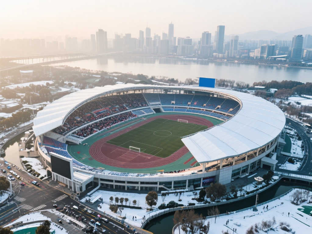 赢得了球队 赢得了球队